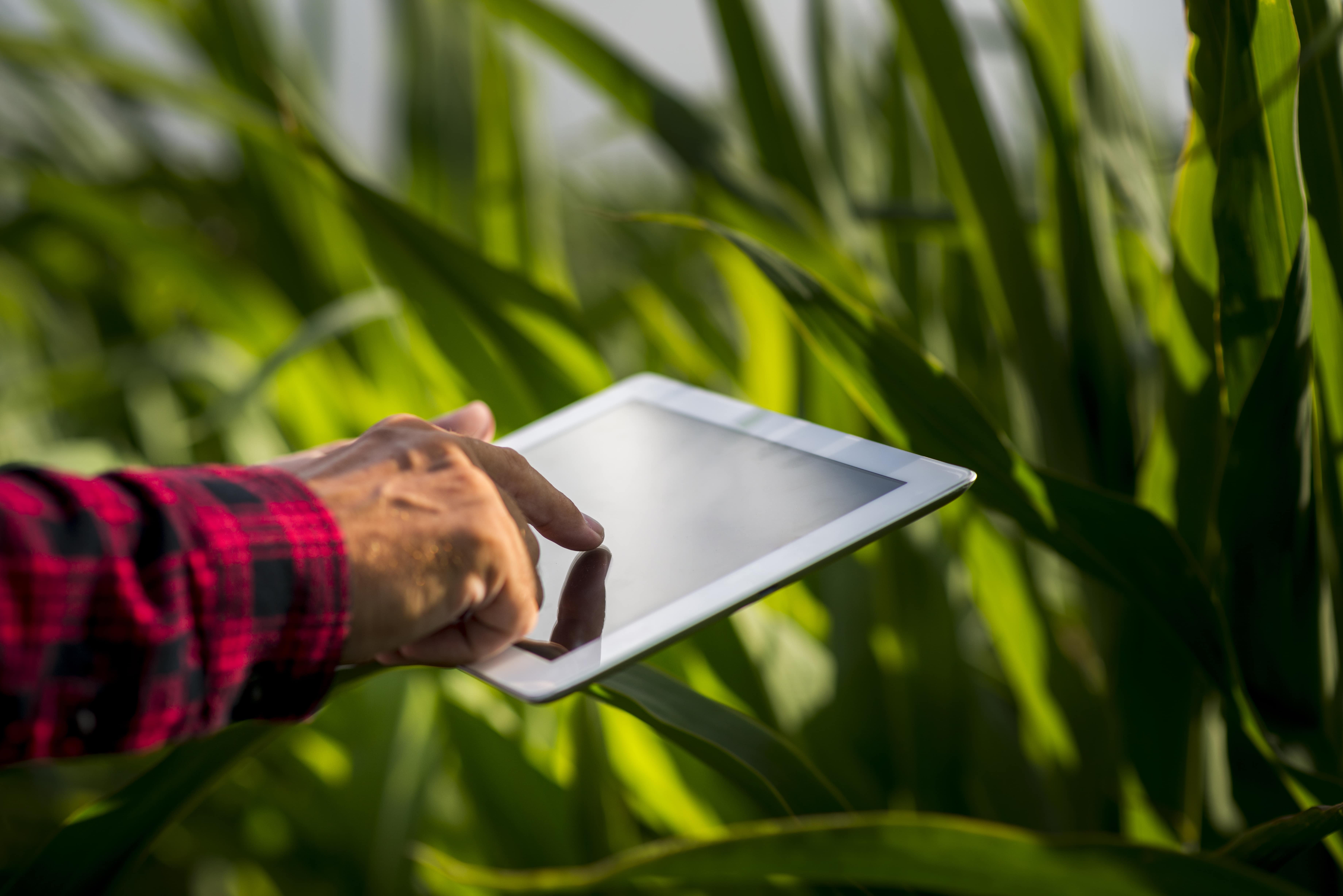 L’agriculture de précision